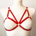 ALEXA HARNESS